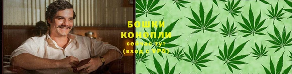 PSILOCYBIN Магас
