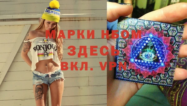 шишки Ахтубинск