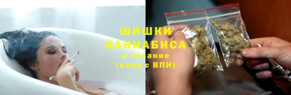 PSILOCYBIN Магас