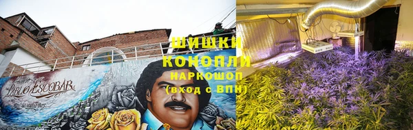 ПСИЛОЦИБИНОВЫЕ ГРИБЫ Майский
