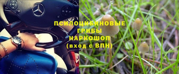 ПСИЛОЦИБИНОВЫЕ ГРИБЫ Майский
