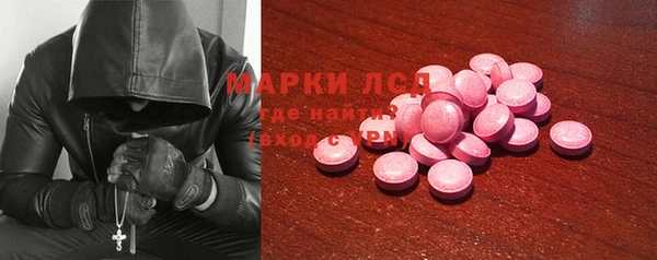PSILOCYBIN Магас