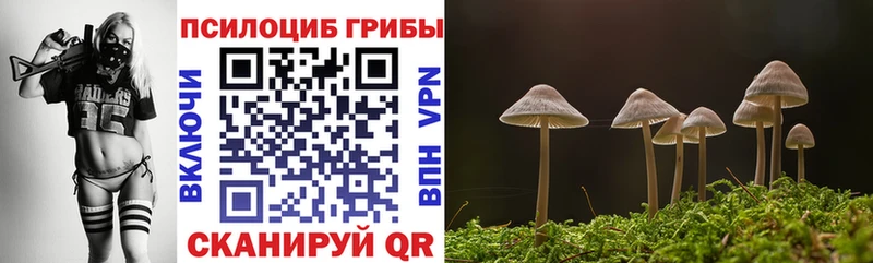 Псилоцибиновые грибы Psilocybe  Туран 